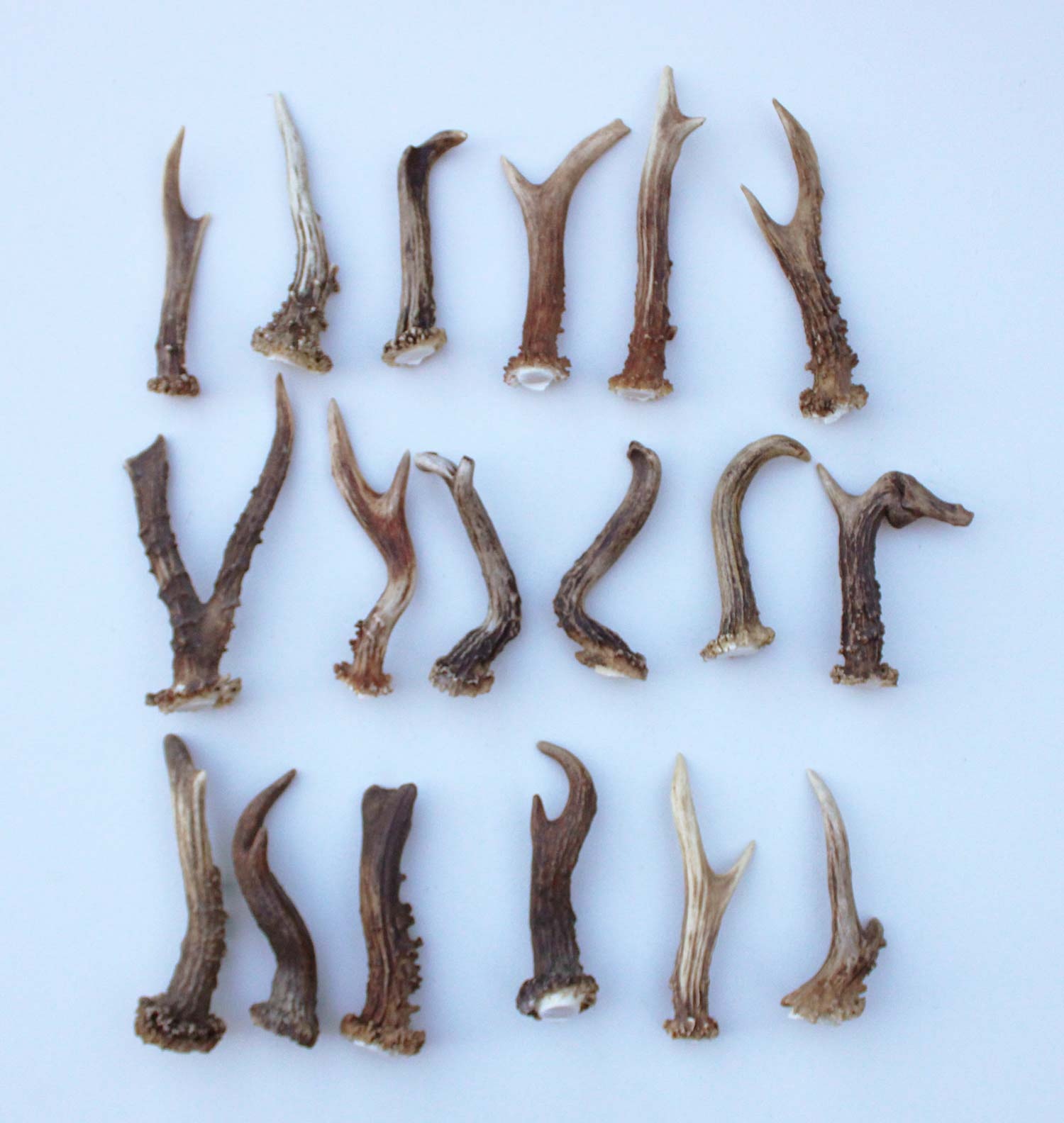 18 stangetjes REE GEWEI 9-16 cm