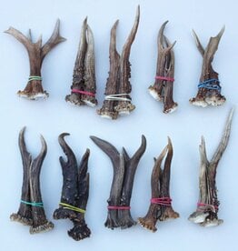 10 paar stangetjes REE GEWEI 11-17 cm - Ref. K