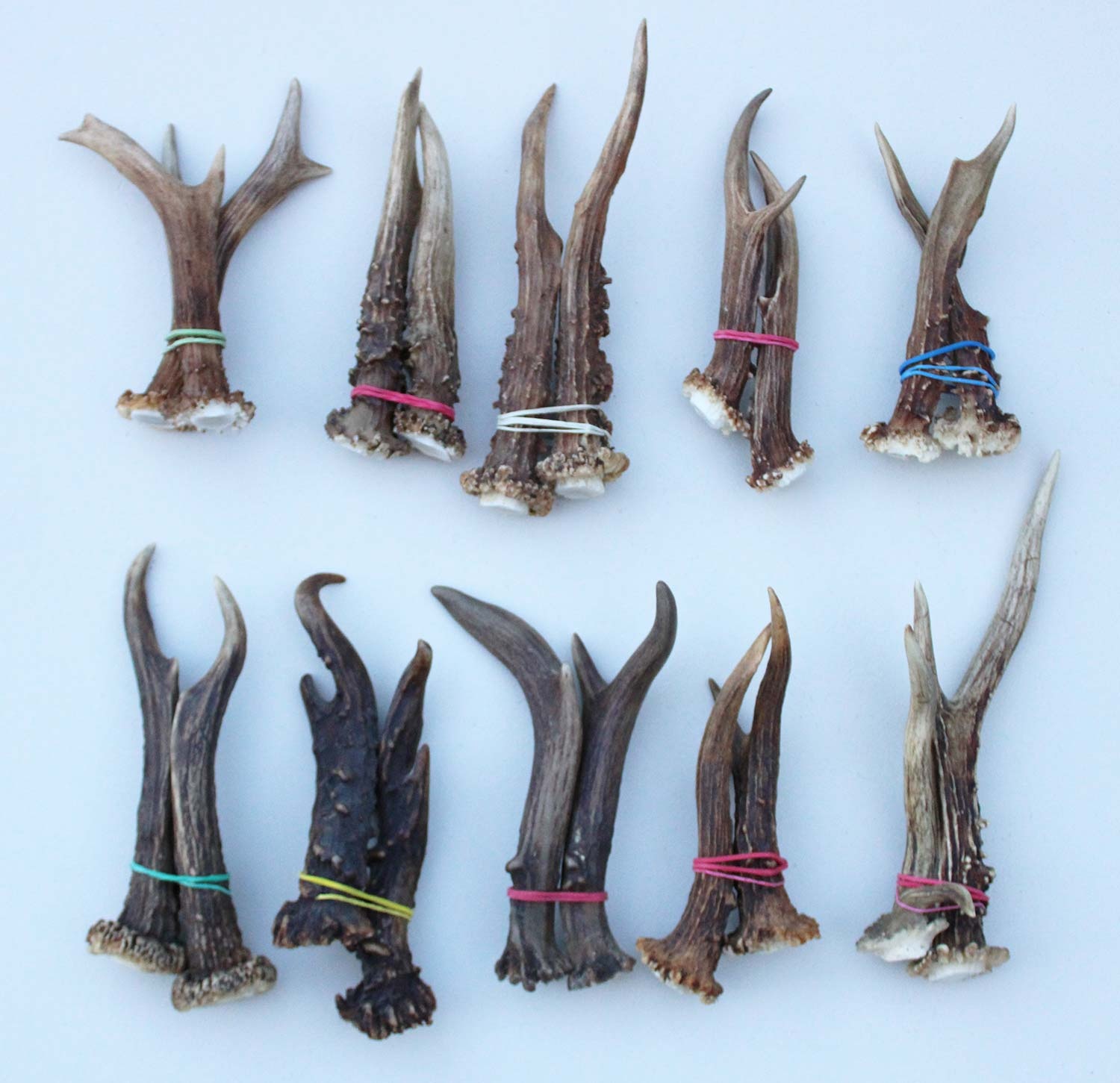 10 paar stangetjes REE GEWEI 11-17 cm