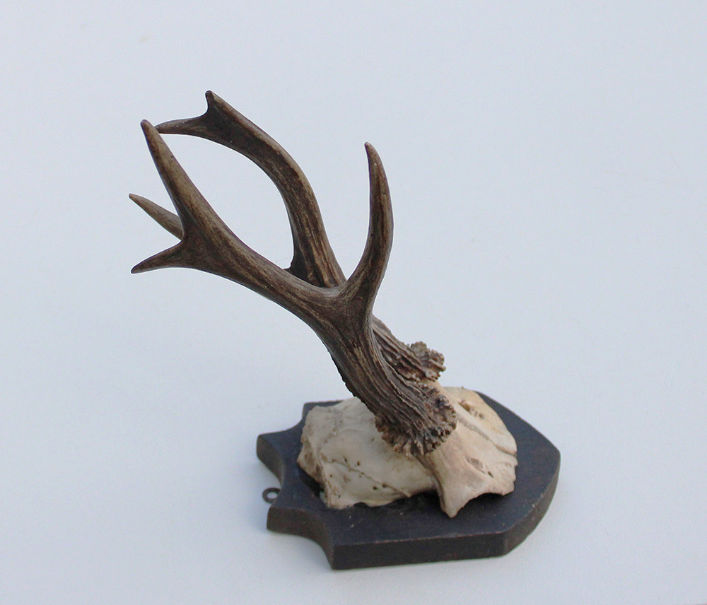 Antiek abnorm zesender REE GEWEI -1927