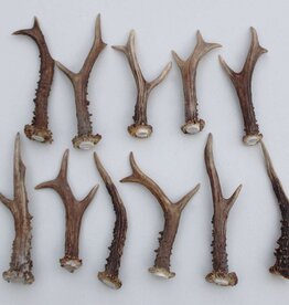 11 stangetjes REE GEWEI 15-20 cm - Ref. C