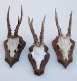 3 x REE GEWEI op houten schild