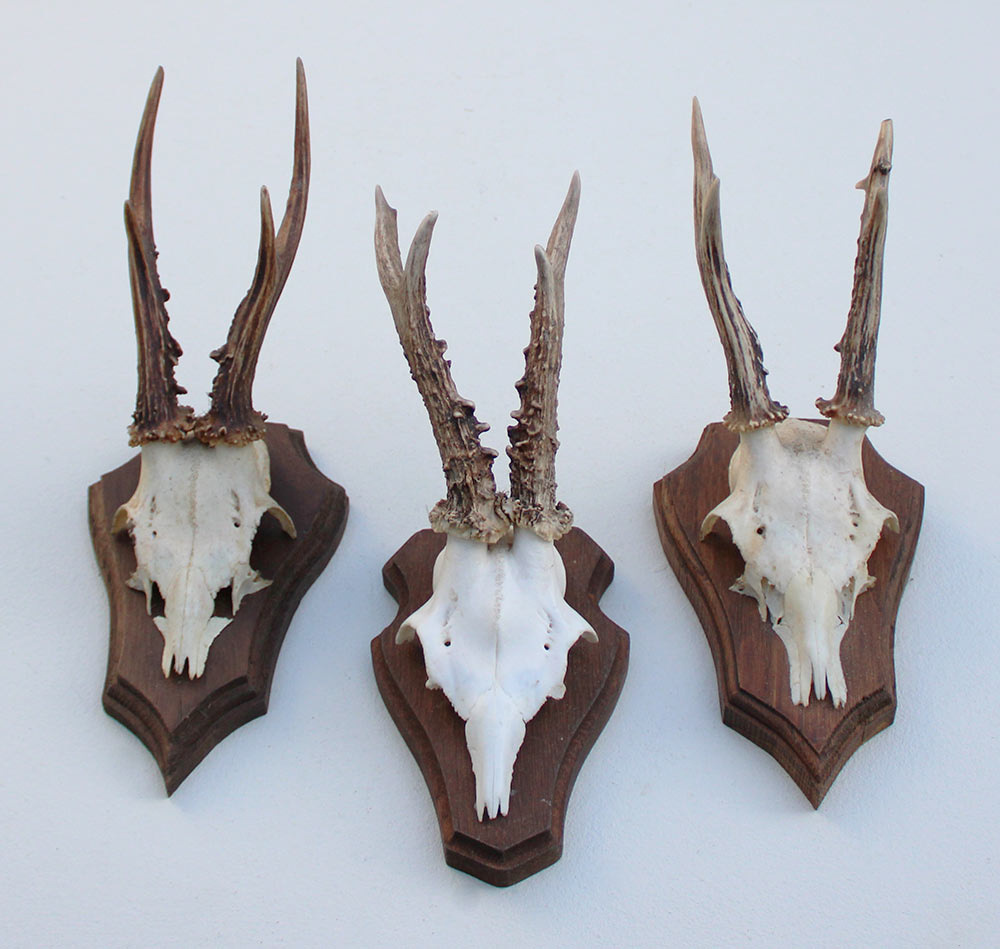 3 x REE GEWEI op houten schild