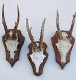 3 x REE GEWEI op houten schild