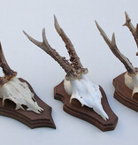 3 x REE GEWEI op houten schild