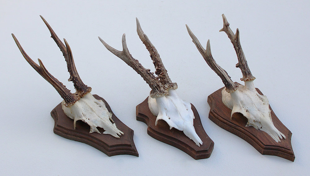 3 x REE GEWEI op houten schild