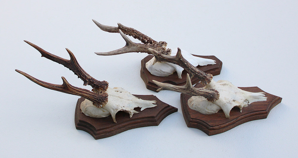 3 x REE GEWEI op houten schild