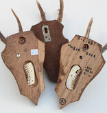 3 x REE GEWEI op houten schild