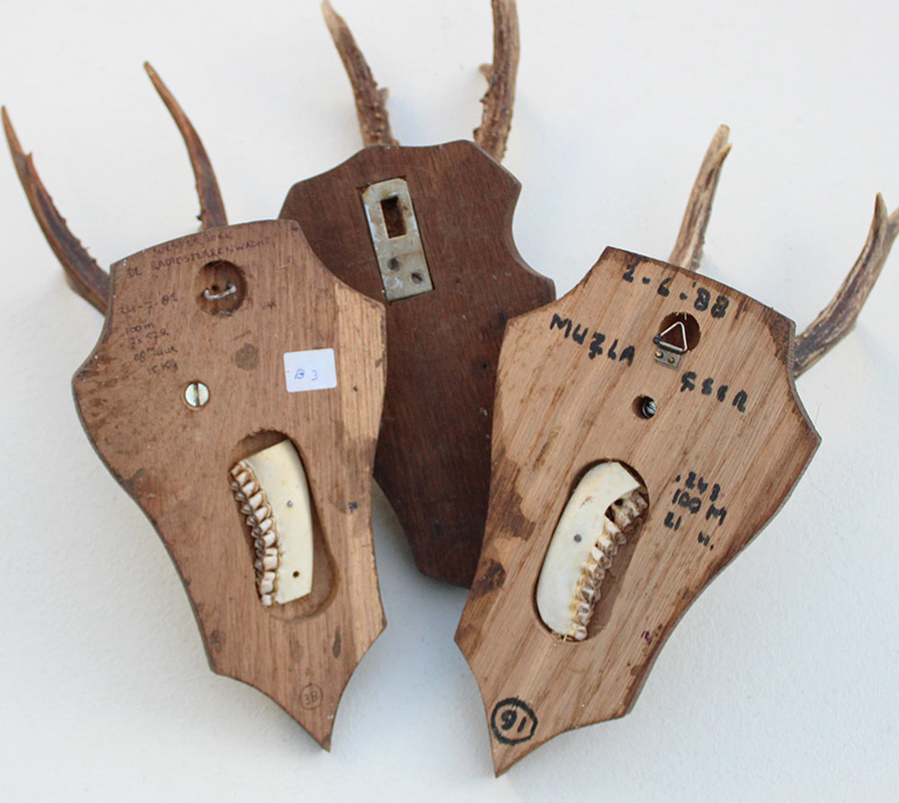 3 x REE GEWEI op houten schild