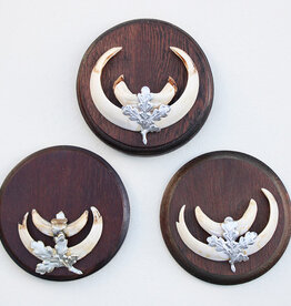 3 x schild tanden EVERZWIJN / WILD ZWIJN - set N