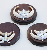 3 x schild tanden EVERZWIJN / WILD ZWIJN