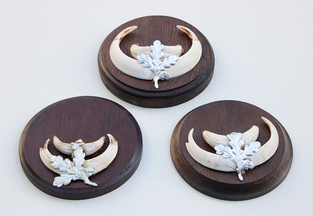 3 x schild tanden EVERZWIJN / WILD ZWIJN