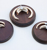 3 x schild tanden EVERZWIJN / WILD ZWIJN