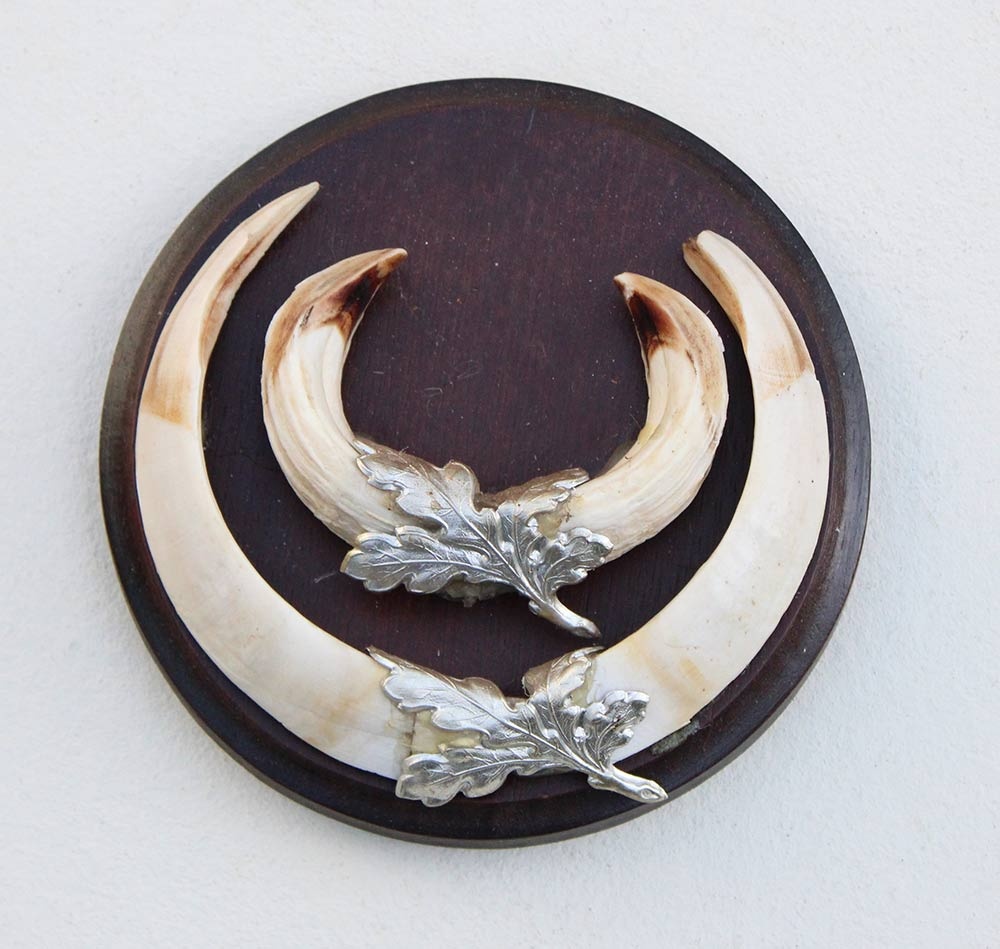 Schild tanden EVERZWIJN / WILD ZWIJN