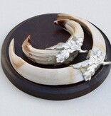 Schild tanden EVERZWIJN / WILD ZWIJN