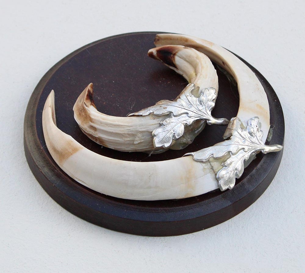 Schild tanden EVERZWIJN / WILD ZWIJN