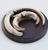 Schild tanden EVERZWIJN / WILD ZWIJN