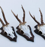 3 x REE GEWEI op houten schild - met kaakdeeltjes