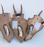 3 x REE GEWEI op houten schild - met kaakdeeltjes