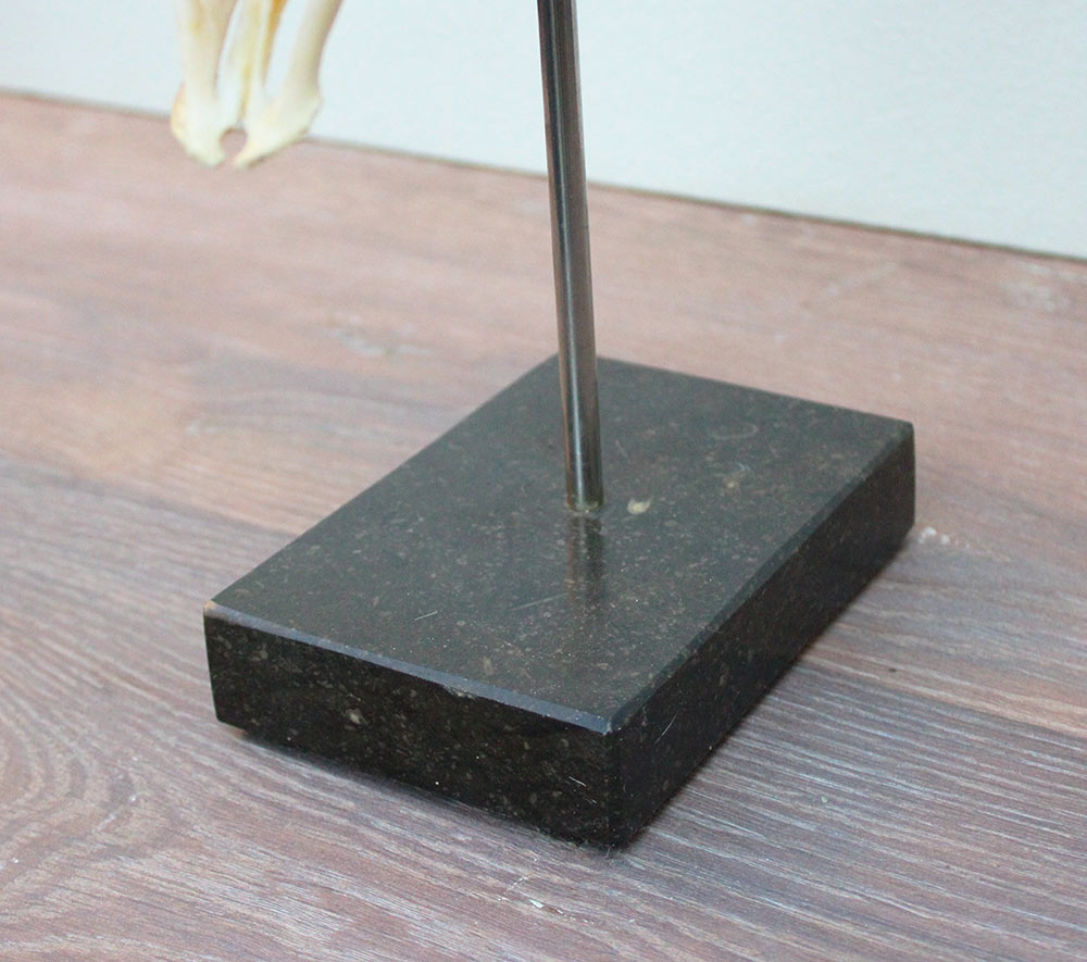 RAM SCHEDEL op hardstenen sokkel