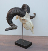 RAM SCHEDEL op hardstenen sokkel