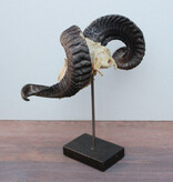 RAM SCHEDEL op hardstenen sokkel