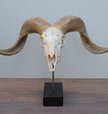 RAM SCHEDEL op houten sokkel