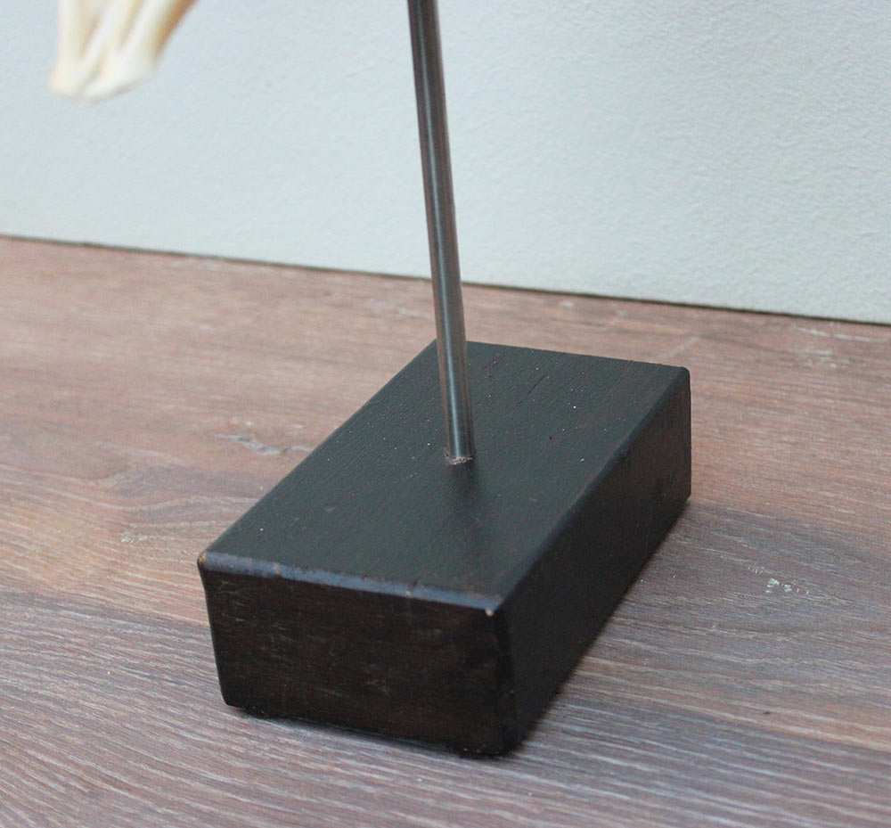 RAM SCHEDEL op houten sokkel