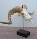 RAM SCHEDEL op houten sokkel