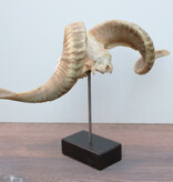 RAM SCHEDEL op houten sokkel