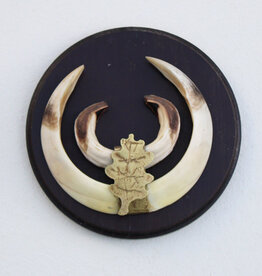 Schild tanden EVERZWIJN / WILD ZWIJN - ref. G