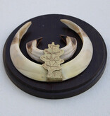 Schild tanden EVERZWIJN / WILD ZWIJN