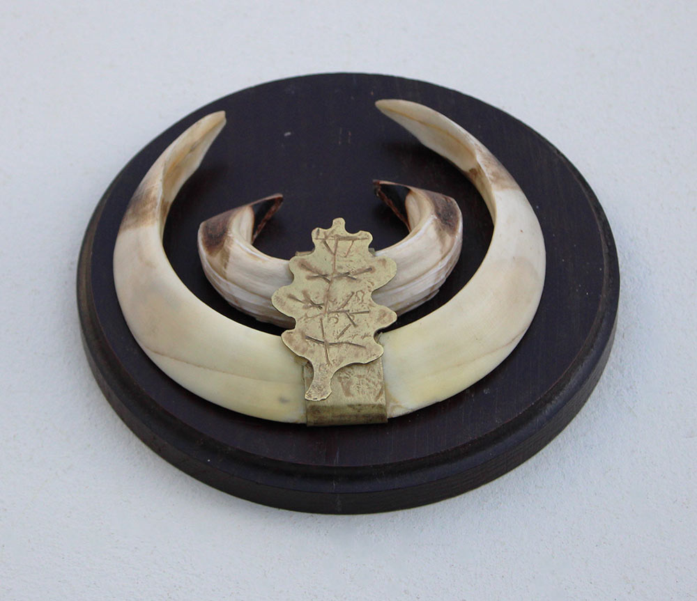 Schild tanden EVERZWIJN / WILD ZWIJN