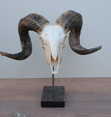 RAM SCHEDEL op hardstenen sokkel