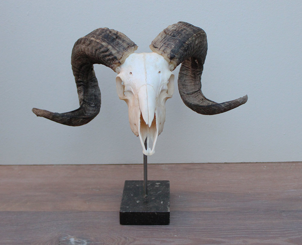 RAM SCHEDEL op hardstenen sokkel