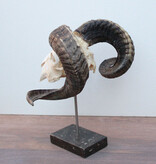 RAM SCHEDEL op hardstenen sokkel