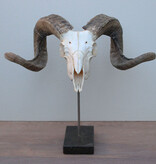 RAM SCHEDEL op hardstenen sokkel