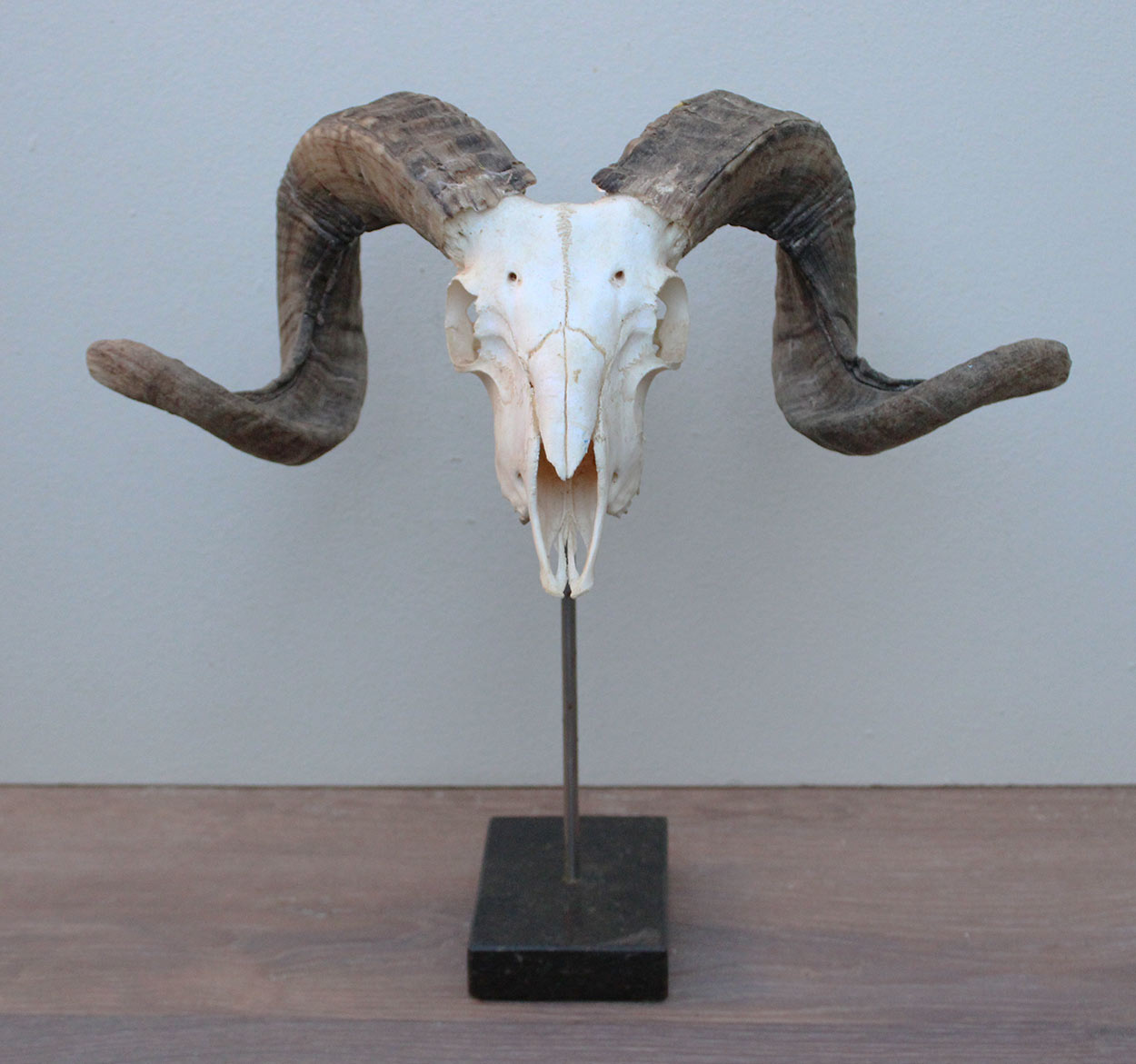 RAM SCHEDEL op hardstenen sokkel