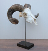 RAM SCHEDEL op hardstenen sokkel