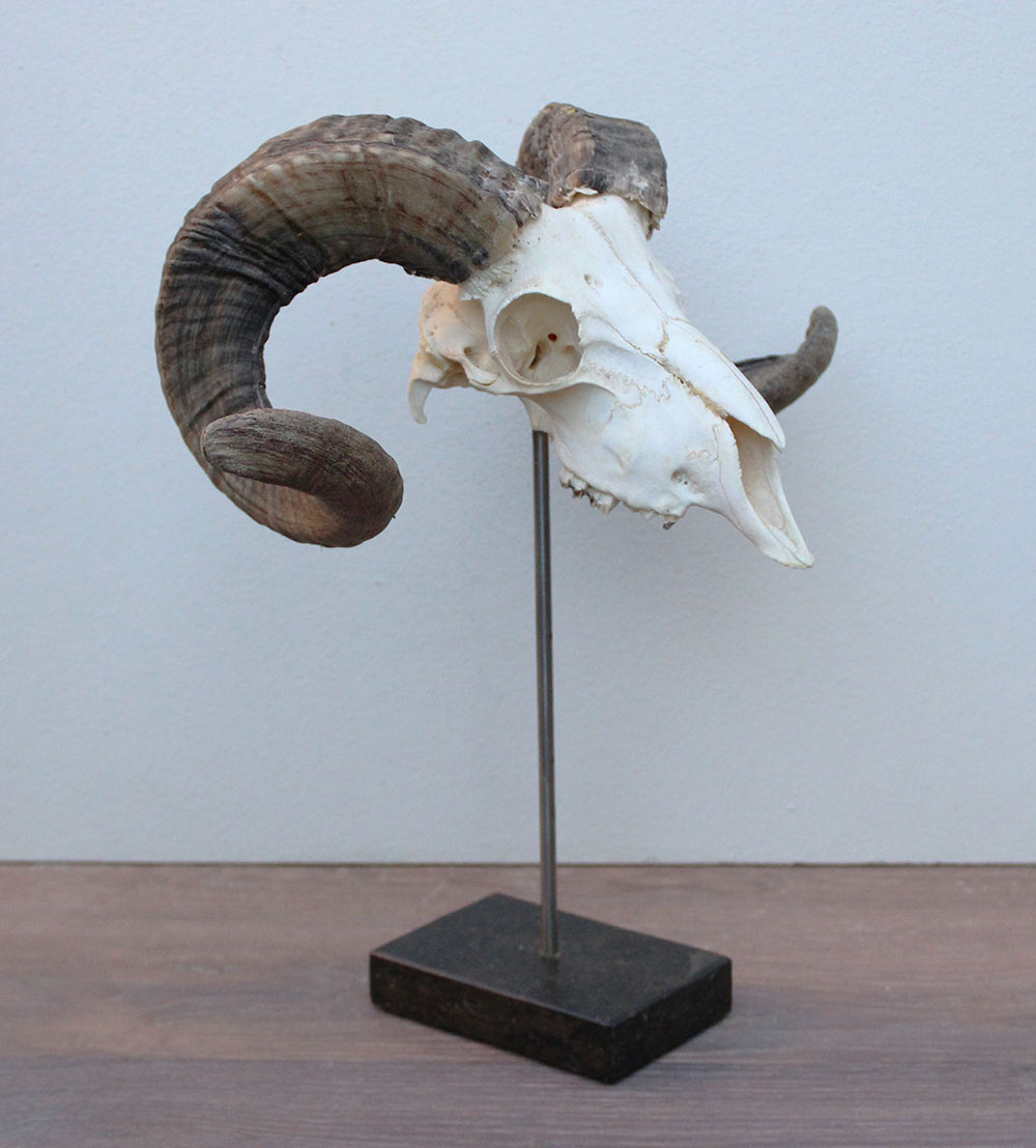 RAM SCHEDEL op hardstenen sokkel