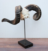 RAM SCHEDEL op hardstenen sokkel