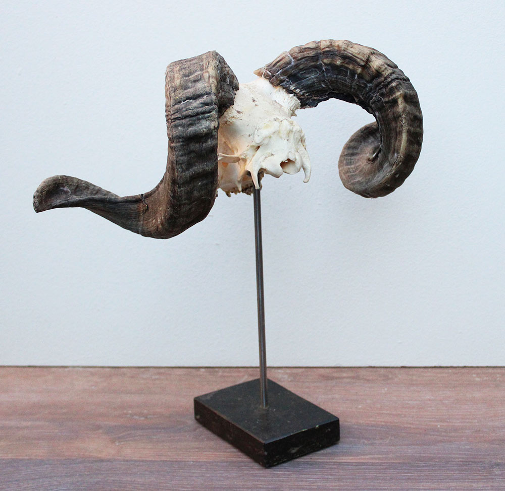 RAM SCHEDEL op hardstenen sokkel