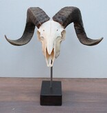 RAM SCHEDEL op houten sokkel