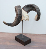 RAM SCHEDEL op houten sokkel