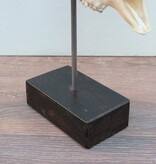 RAM SCHEDEL op houten sokkel