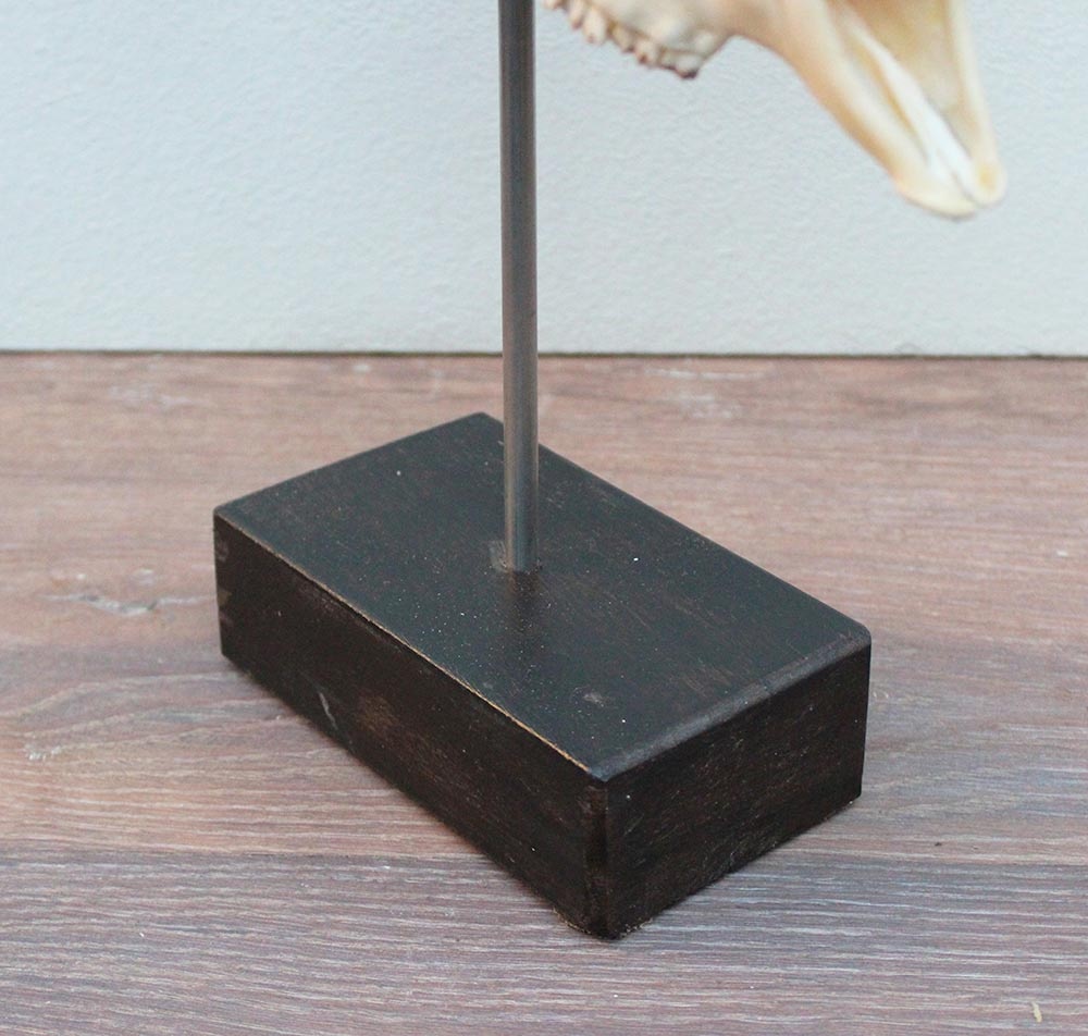 RAM SCHEDEL op houten sokkel