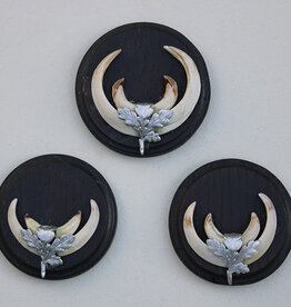 3 x schild tanden EVERZWIJN / WILD ZWIJN - set L