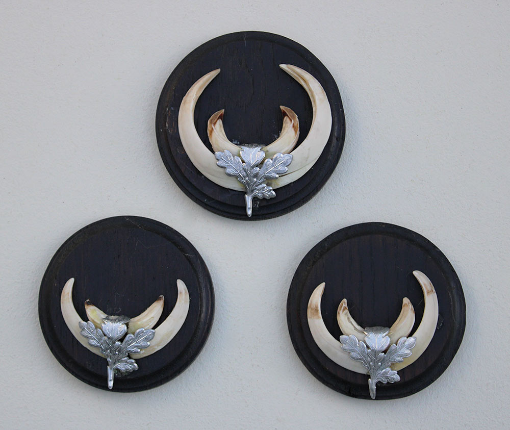 3 x schild tanden EVERZWIJN / WILD ZWIJN