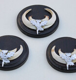 3 x schild tanden EVERZWIJN / WILD ZWIJN