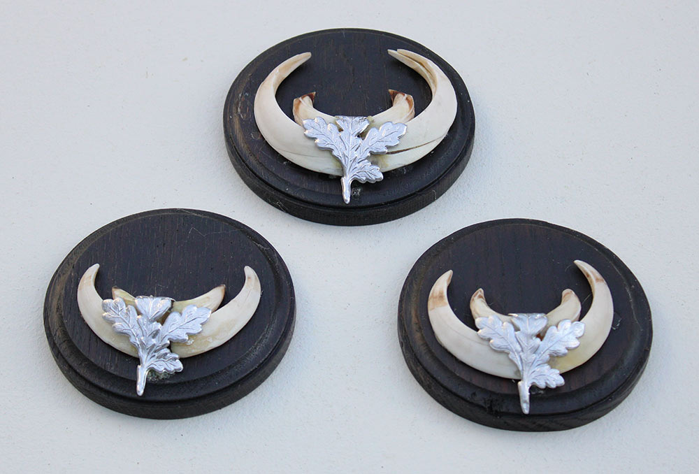 3 x schild tanden EVERZWIJN / WILD ZWIJN